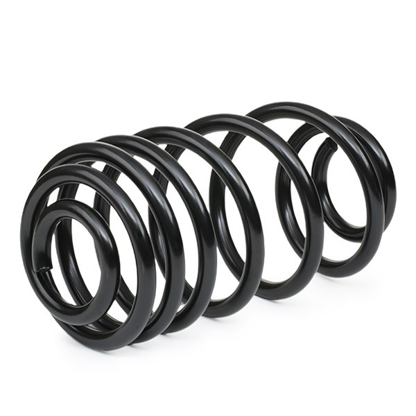 4256911 Lesjofors Muelle trasero