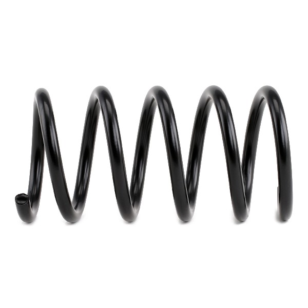 4295825 Lesjofors Muelle trasero
