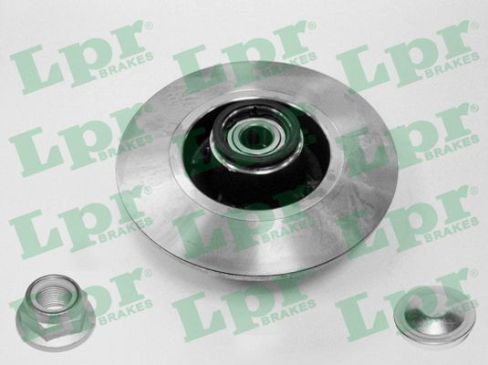 R1005PCA LPR Freno de disco trasero