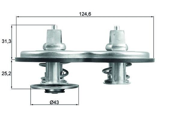 Comprar Termostato Mercedes Benz Truck TRUCK ACTROS MP4 / MP5 