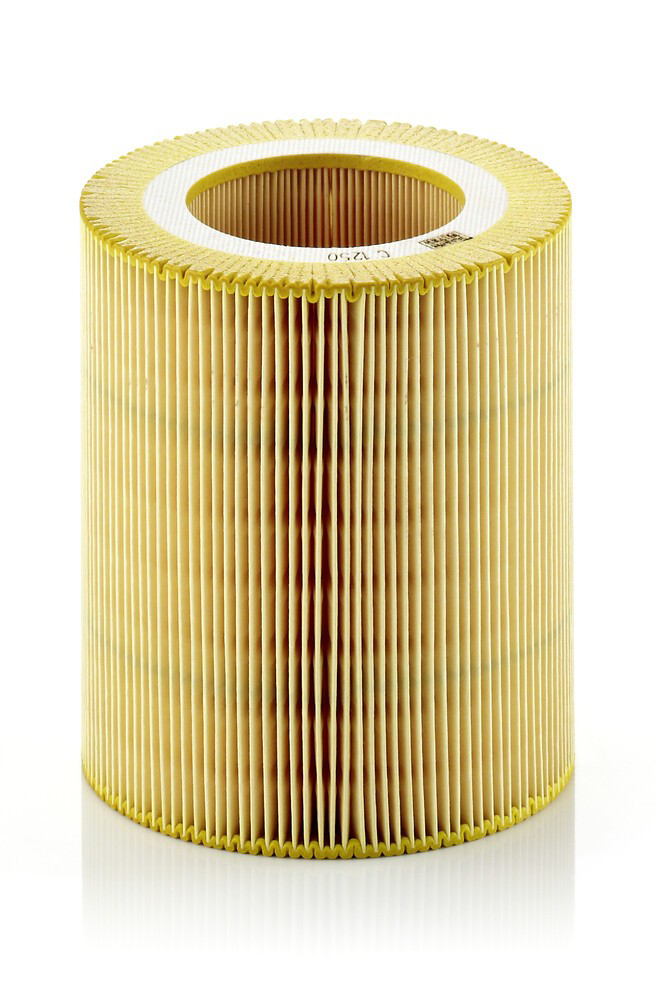 C1250 Mann-Filter Filtro de aire de motor