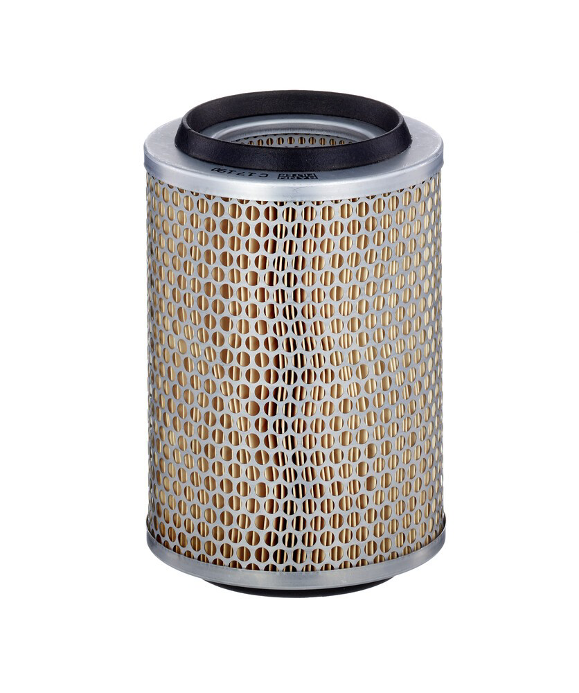 Comprar C17190 Mann-Filter Filtro de aire