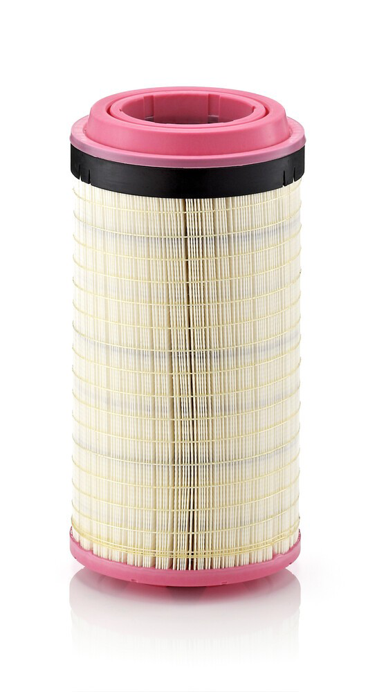 C21600 Mann-Filter Filtro de aire de motor