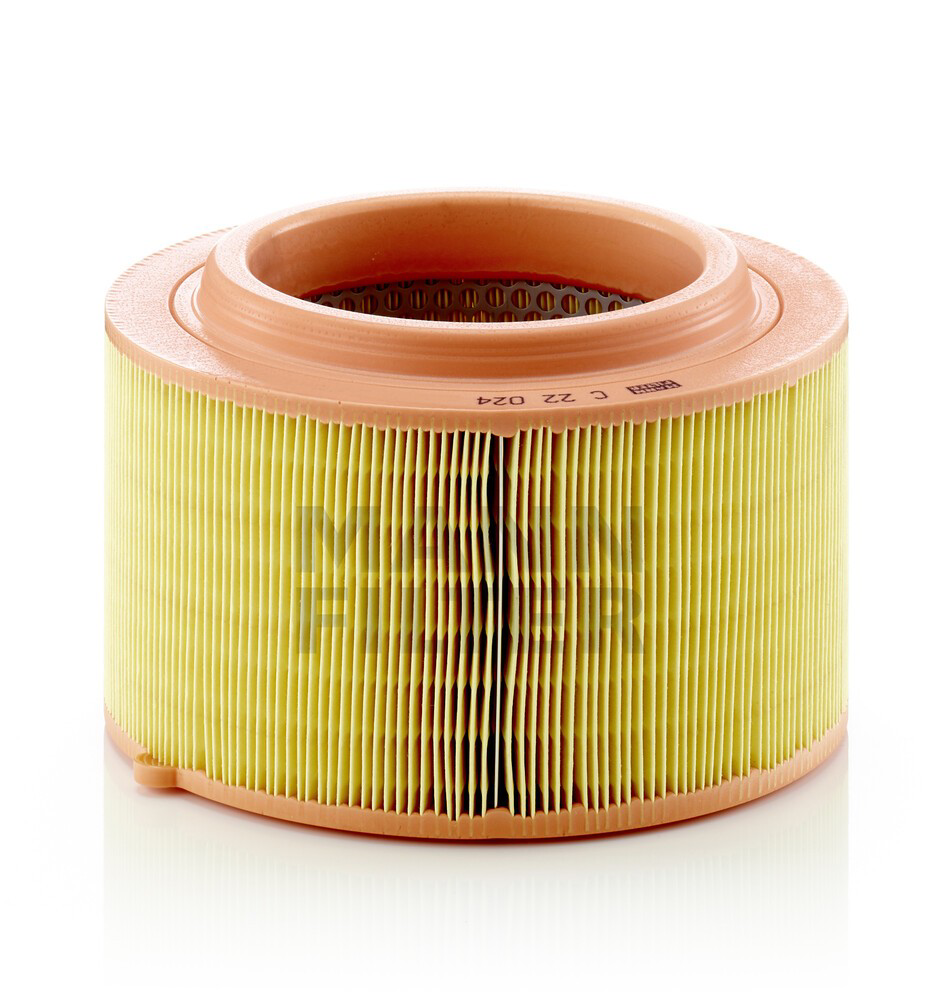 El filtro de aire Mann-Filter C22024 precio, desde 27,34 EUR