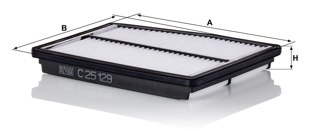 Comprar C25129 Mann-Filter Filtro de aire