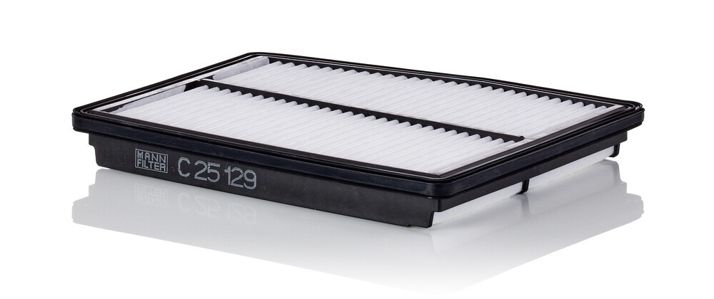 El filtro de aire Mann-Filter C25129 precio, desde 14,36 EUR