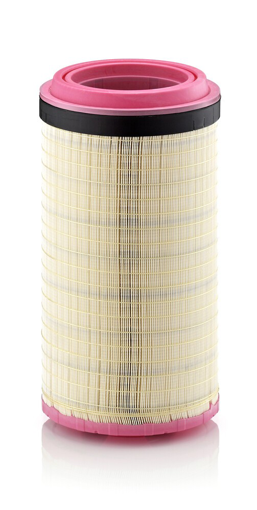 El filtro de aire Mann-Filter C25900 precio, desde 95,89 EUR