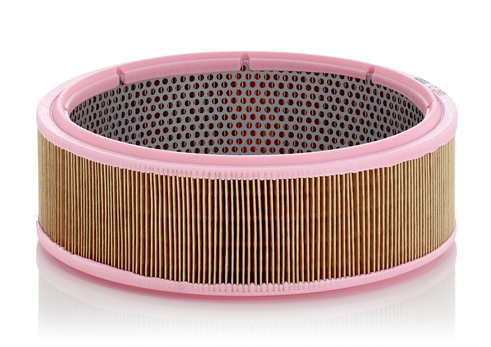 El filtro de aire Mann-Filter C2651 precio, desde 14,60 EUR