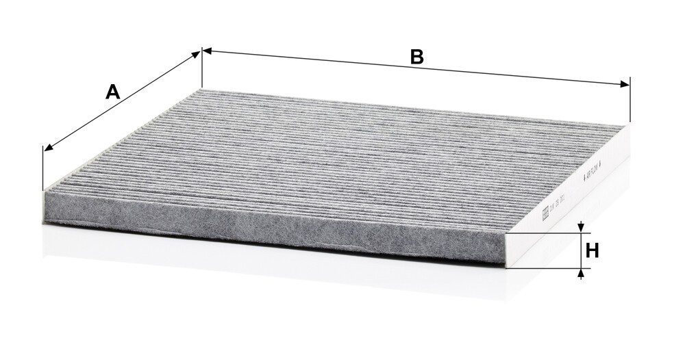 27277JN00B Nissan/Infiniti Filtro antipolen