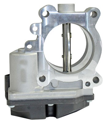 Cuerpo de mariposa 0892426 Metzger