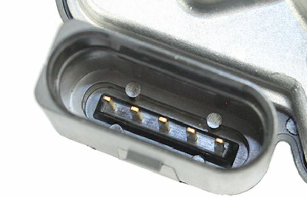 Cuerpo de mariposa 0892510 Metzger
