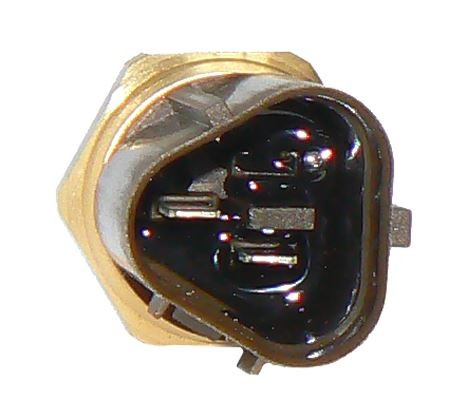  Sensor de temperatura Skoda Fabia 