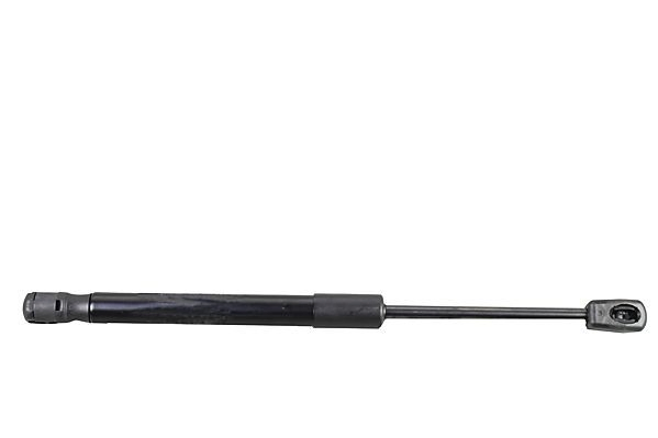 Muelle neumático, tapa delantera BMW 5 sedán (F10) (2009 - 2016) precio, desde 21,13 EUR