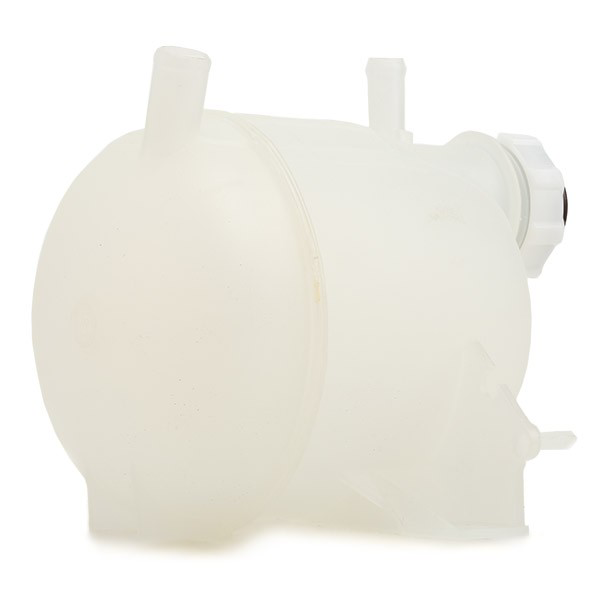 Botella expansion Renault Kangoo I monovolumen (KC0, KC1) (1998 - 2008) precio, desde 11,57 EUR