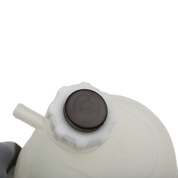  Vaso de expansión Renault Kangoo 1