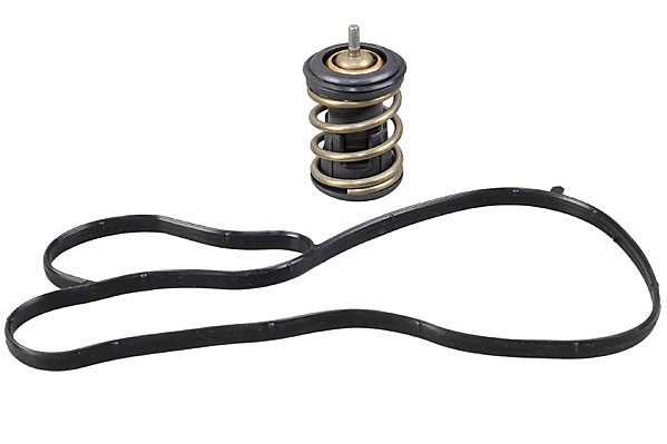 Termostato Volkswagen Golf VIII hatchback (CD1, DA1) (2019 - 2026) precio, desde 22,37 EUR