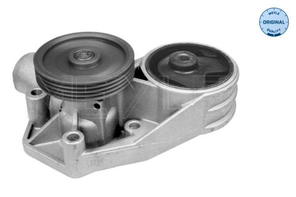 Bombeadora de agua Meyle 0130120039 precio, desde 44,20 EUR