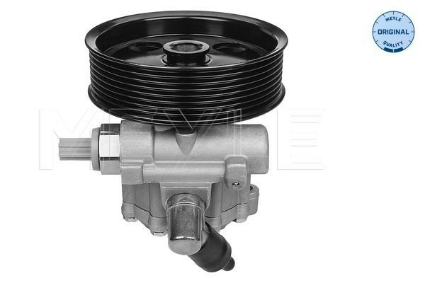 Comprar Bomba de dirección Mercedes S  W221