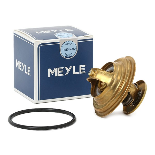 Termostato refrigerante Audi A4 B6