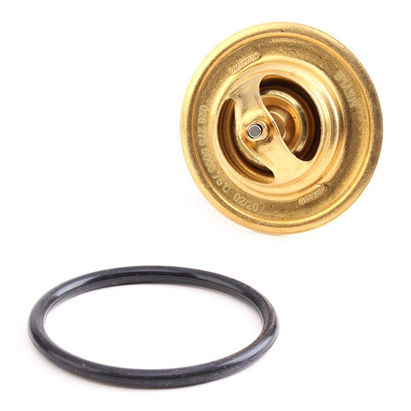 Termostato refrigerante Audi 100 C2
