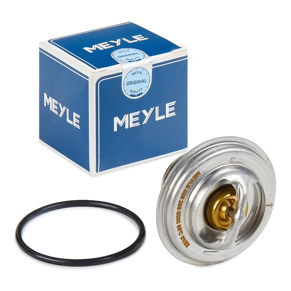 Comprar Termostato BMW 3  E30