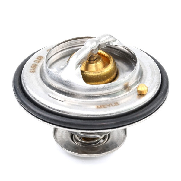Termostato refrigerante BMW 3 