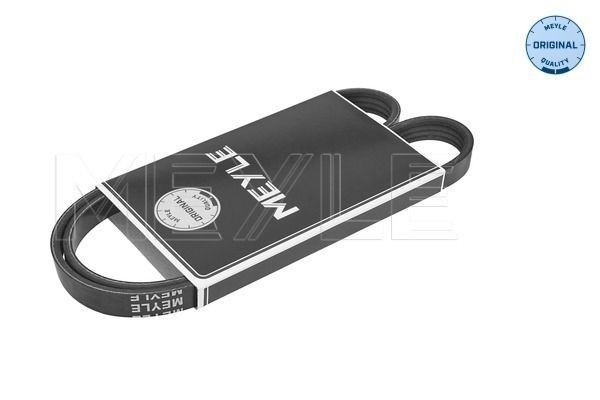 Correa poly v para Iveco Stralis I 