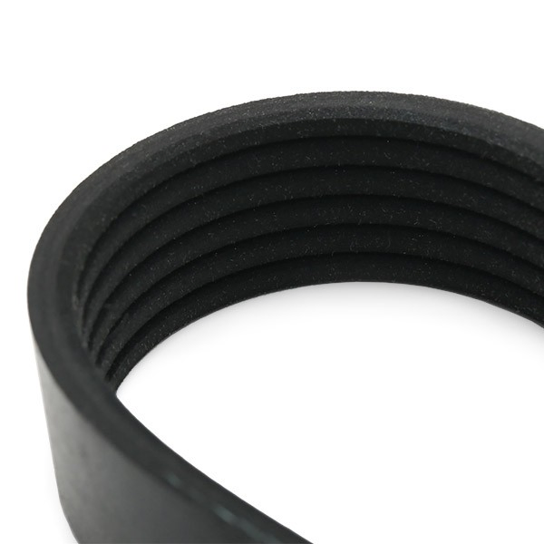 Correa de transmisión trapezoidal Seat Exeo ST familiar (3R5) (2009 - 2013) precio, desde 11,73 EUR