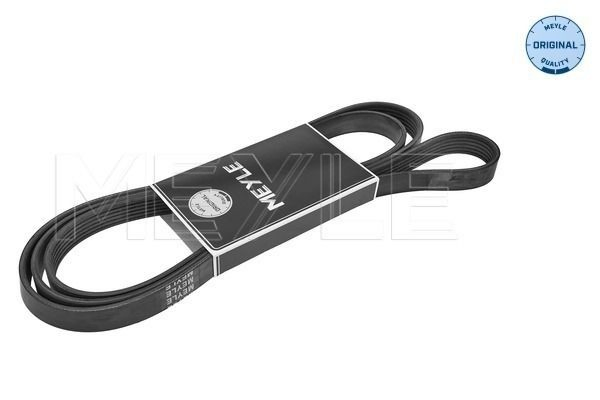 Correa poly v para Mercedes ML/GLE  W163