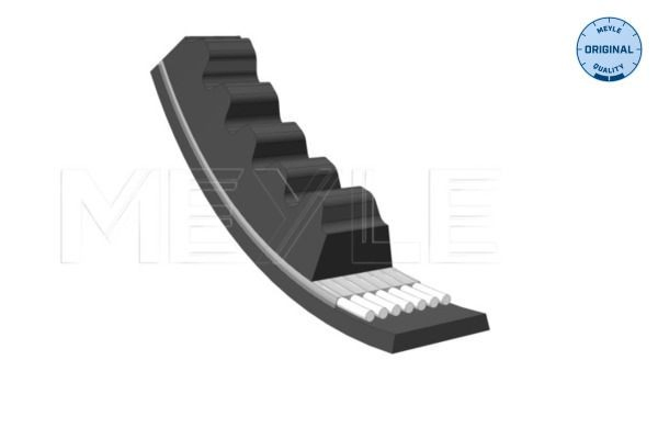 Correa poly v para Renault Master I T