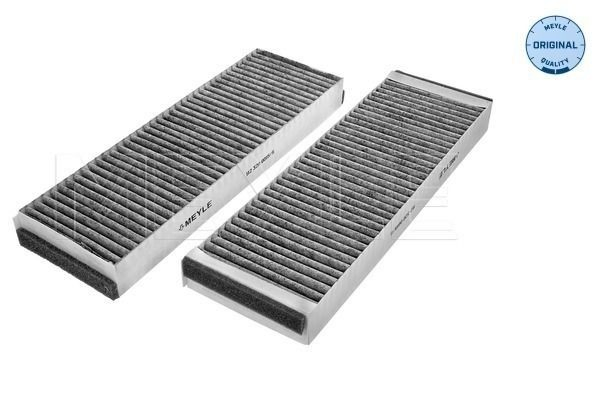 Filtro antipolen para Audi A6 Allroad C6 4FH