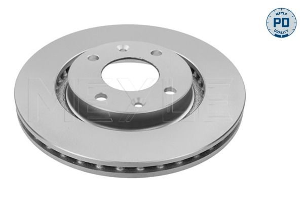 Disco de freno delantero Peugeot 301 
