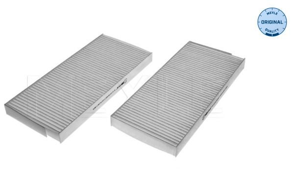 Filtro antipolen para Renault Master III JV