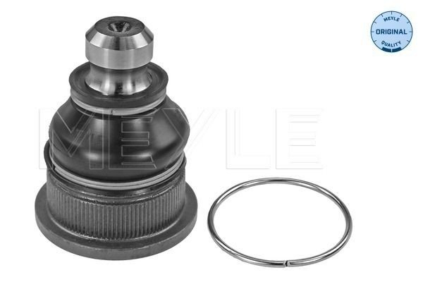 Rótula inferior de suspensión Renault Megane II hatchback (BM0, CM0, BM1, CM1) (2002 - 2012) precio, desde 19,19 EUR