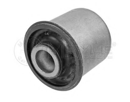 Silentblock del puente trasero para Chevrolet Aveo II T250, T255