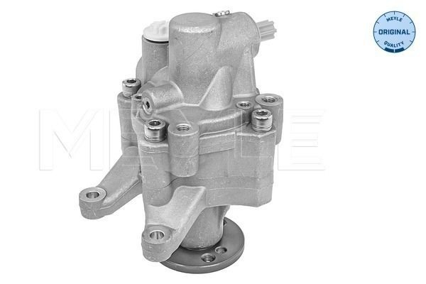 Bomba de dirección asistida  Meyle 3146310024 precio, desde 180,43 EUR