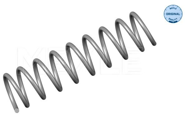 Muelle trasero BMW 5  (1995-2003)