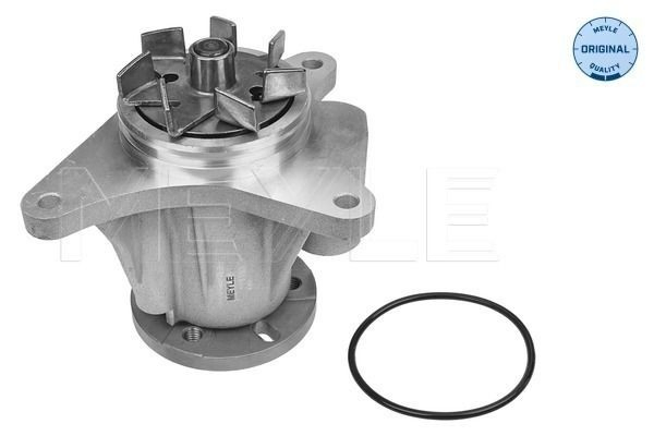 Comprar Bomba de agua Jaguar S-type  CCX