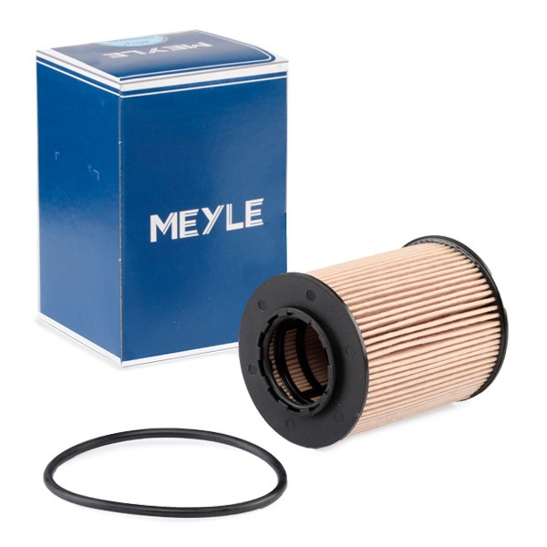 Filtro de aceite 09192425 General Motors