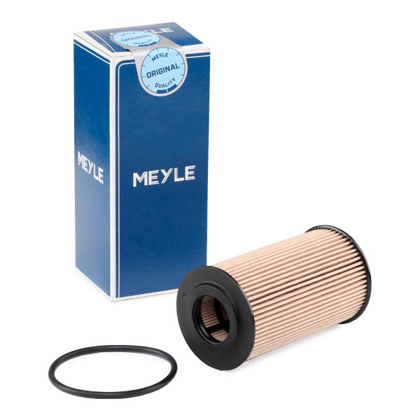 Comprar Filtro de aceite Chevrolet Aveo III T300
