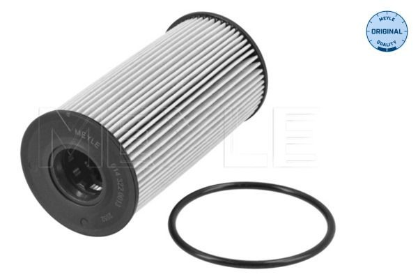 Filtro de aceite E149123 Peugeot/Citroen