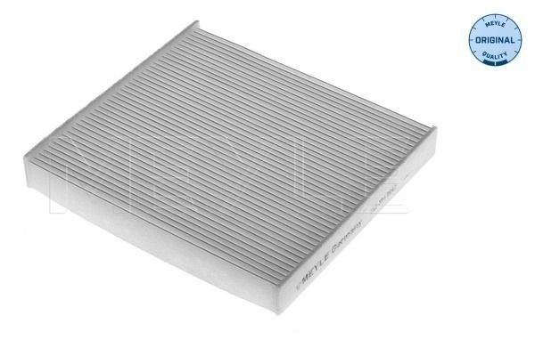 Filtro antipolen para Ford Transit VI V347/8