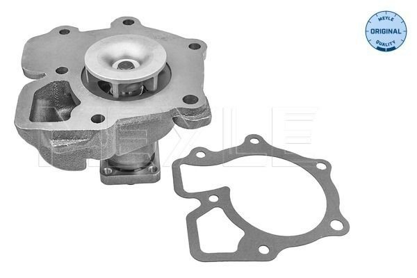 Comprar Bomba de agua Ford Transit IV T