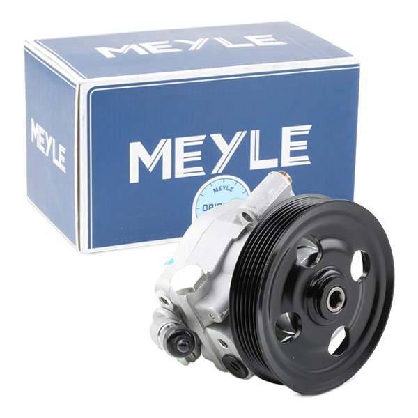 Bomba de dirección 7146310029 Meyle