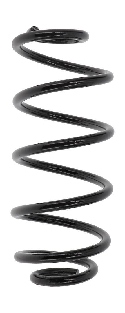 Muelle trasero para Fiat Doblo II 263