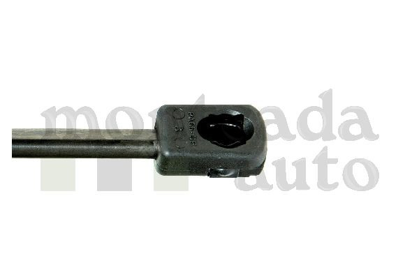 RPE039 Montcada