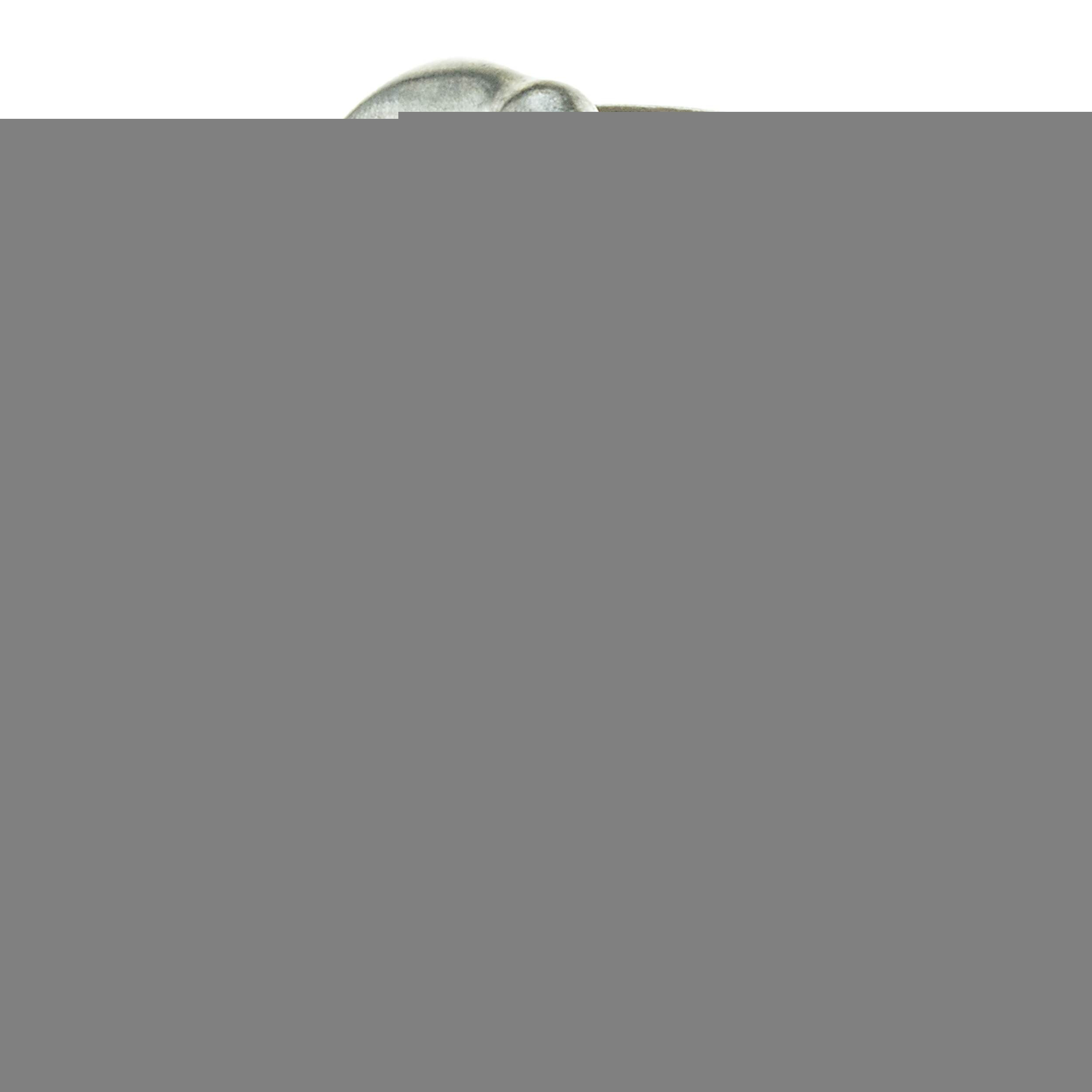Termostato refrigerante Motorad 29477K