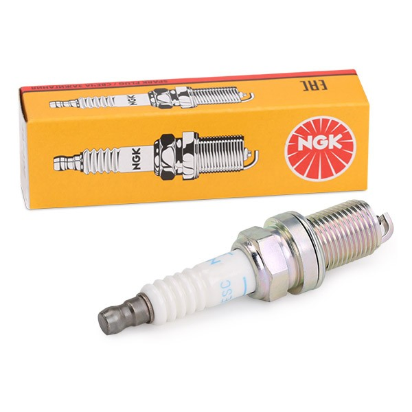 Bujias de encendido NGK 6313