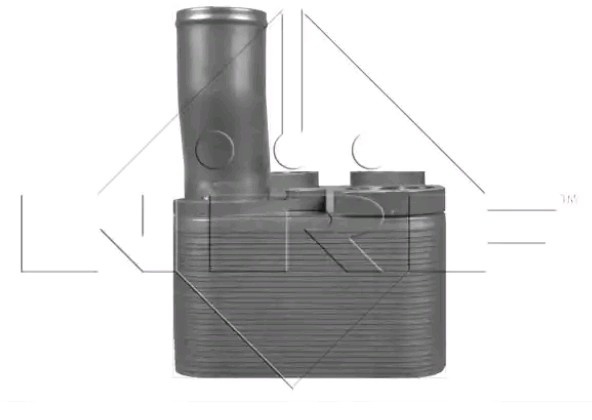 Radiador de aceite 5001865817 Renault (RVI)