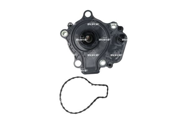 Comprar Bomba de agua Honda CR-V V RW, RT